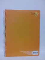 Libreta profesional de 100 hojas (rayas)